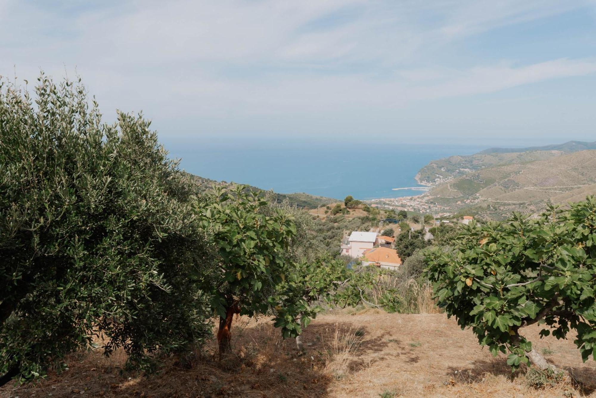 Villa L'Aia San Mauro Cilento Exterior foto